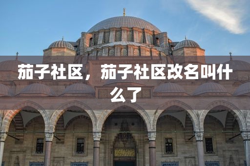 茄子社区，茄子社区改名叫什么了