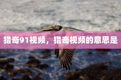 猎奇91视频，猎奇视频的意思是