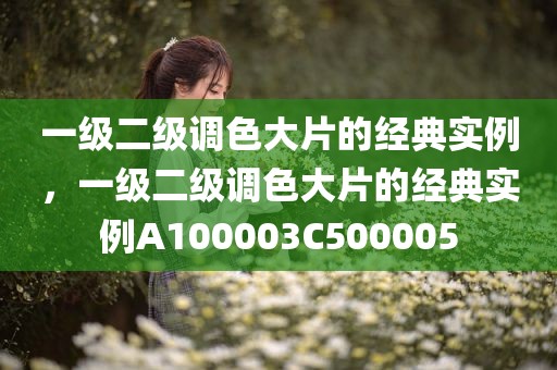 一级二级调色大片的经典实例，一级二级调色大片的经典实例A100003C500005