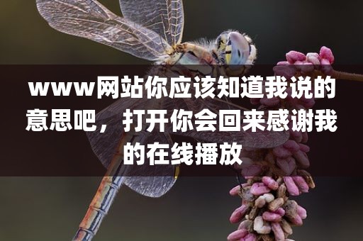 www网站你应该知道我说的意思吧，打开你会回来感谢我的在线播放