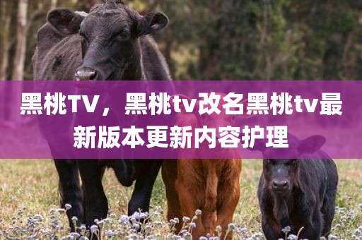 黑桃TV，黑桃tv改名黑桃tv最新版本更新内容护理