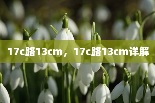 17c路13cm，17c路13cm详解