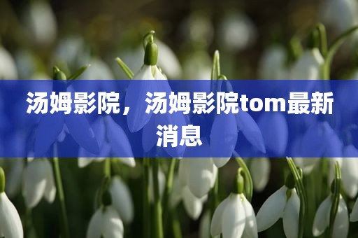 汤姆影院，汤姆影院tom最新消息