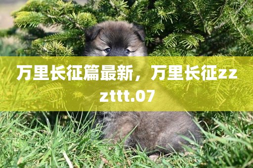 万里长征篇最新，万里长征zzzttt.07
