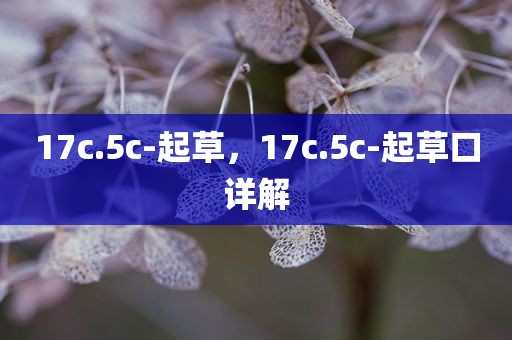 17c.5c-起草，17c.5c-起草口详解