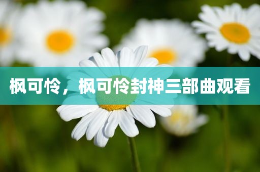 枫可怜，枫可怜封神三部曲观看