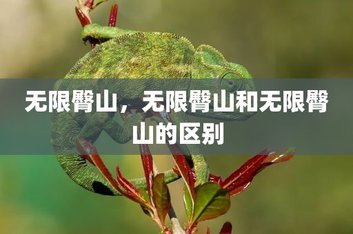 无限臀山，无限臀山和无限臀山的区别