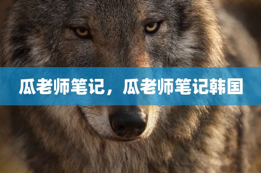瓜老师笔记，瓜老师笔记韩国
