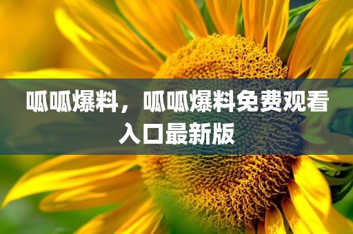 呱呱爆料，呱呱爆料免费观看入口最新版