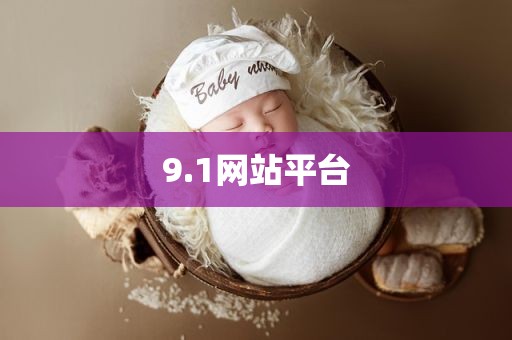9.1网站平台