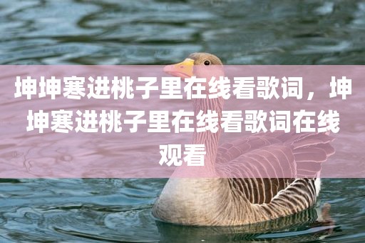 坤坤寒进桃子里在线看歌词，坤坤寒进桃子里在线看歌词在线观看