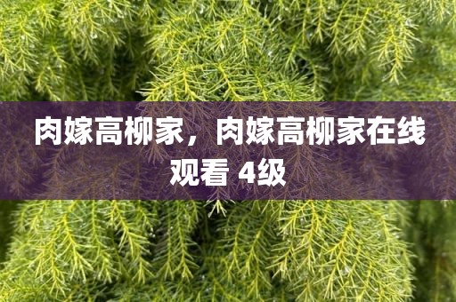 肉嫁高柳家，肉嫁高柳家在线观看 4级