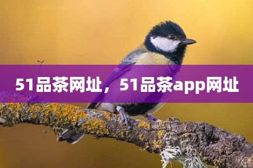 51品茶网址，51品茶app网址