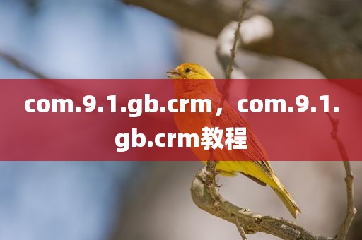 com.9.1.gb.crm，com.9.1.gb.crm教程