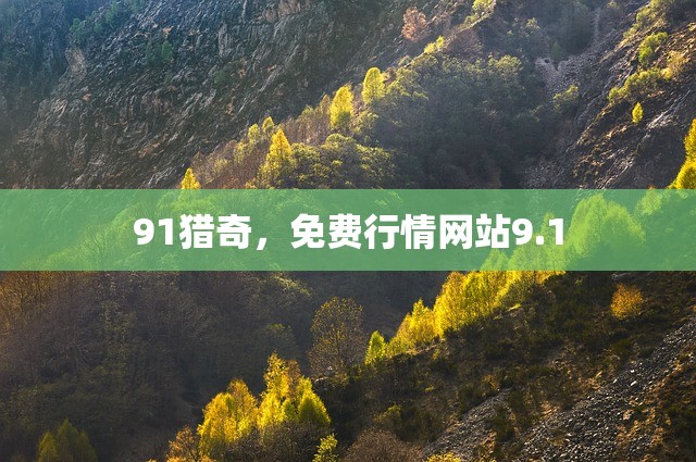 91猎奇，免费行情网站9.1