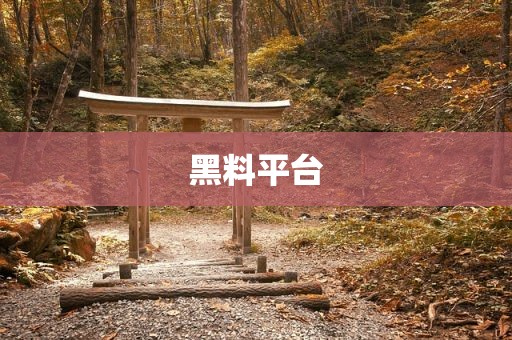 黑料平台
