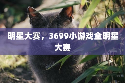 明星大赛，3699小游戏全明星大赛