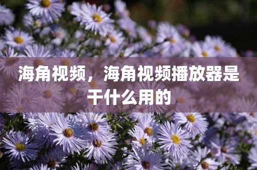 海角视频，海角视频播放器是干什么用的
