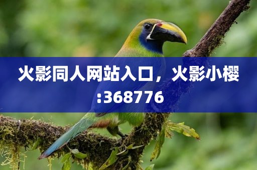 火影同人网站入口，火影小樱:368776