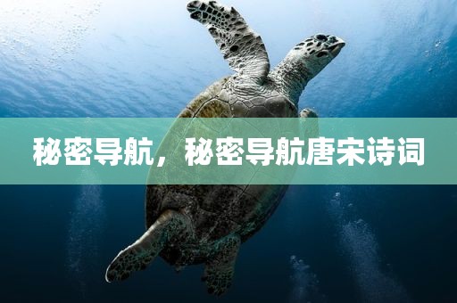 秘密导航，秘密导航唐宋诗词