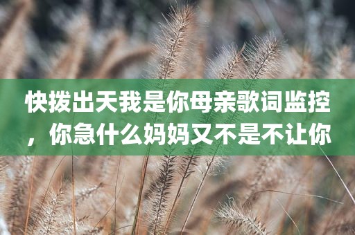 快拨出天我是你母亲歌词监控，你急什么妈妈又不是不让你