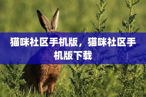 猫咪社区手机版，猫咪社区手机版下载