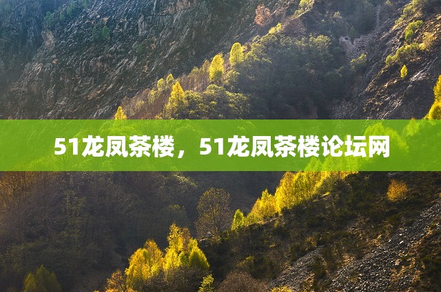 51龙凤茶楼，51龙凤茶楼论坛网