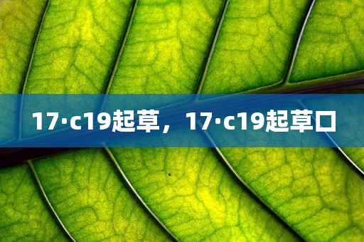 17·c19起草，17·c19起草口