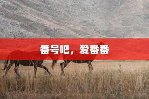 番号吧，爱番番