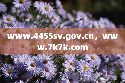 www.4455sv.gov.cn，www.7k7k.com