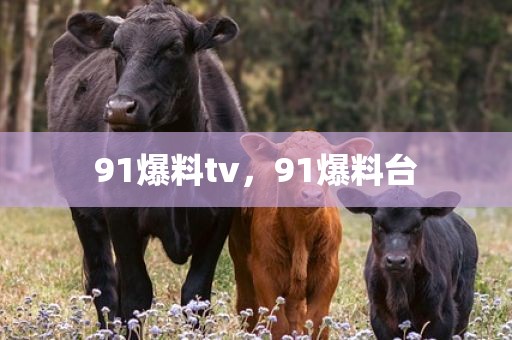 91爆料tv，91爆料台