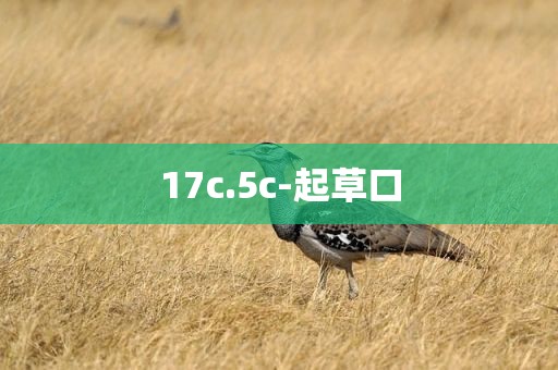 17c.5c-起草口