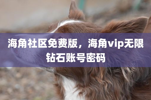 海角社区免费版，海角vip无限钻石账号密码