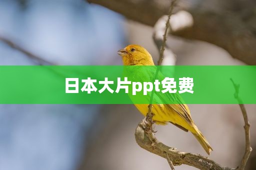 日本大片ppt免费