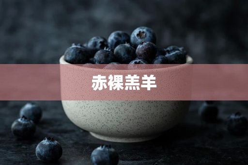 赤裸羔羊