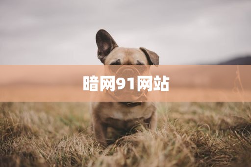 暗网91网站