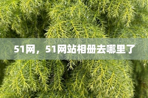 51网，51网站相册去哪里了