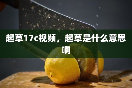 起草17c视频，起草是什么意思啊