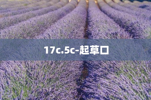 17c.5c-起草口