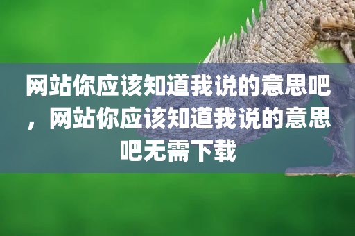 网站你应该知道我说的意思吧，网站你应该知道我说的意思吧无需下载