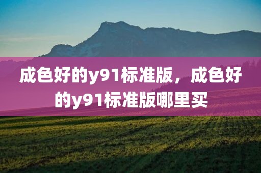 成色好的y91标准版，成色好的y91标准版哪里买