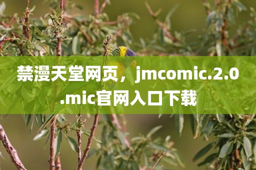 禁漫天堂网页，jmcomic.2.0.mic官网入口下载