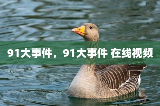91大事件，91大事件 在线视频