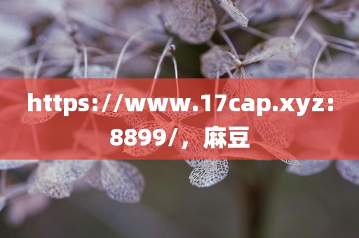 https://www.17cap.xyz:8899/，麻豆