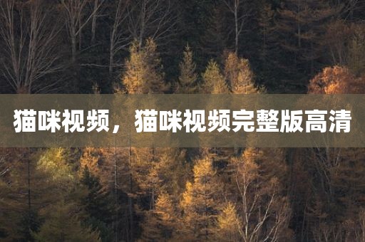 猫咪视频，猫咪视频完整版高清