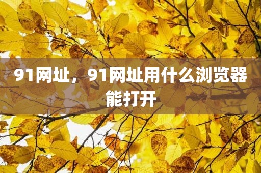 91网址，91网址用什么浏览器能打开