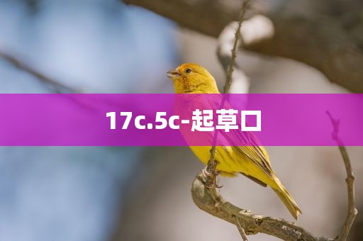 17c.5c-起草口