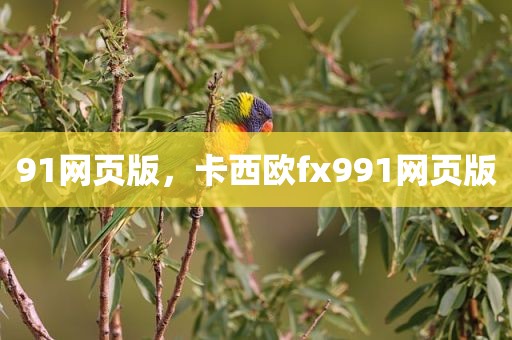 91网页版，卡西欧fx991网页版