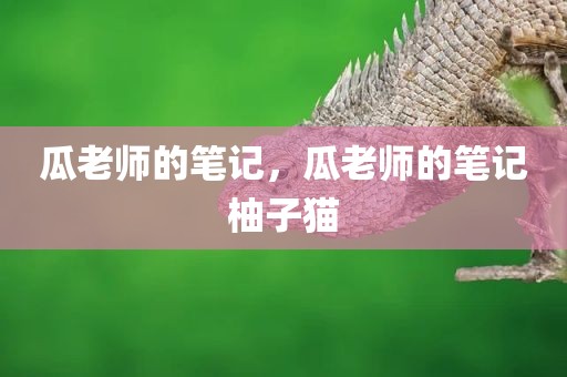 瓜老师的笔记，瓜老师的笔记柚子猫