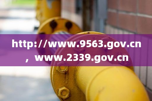 http://www.9563.gov.cn，www.2339.gov.cn